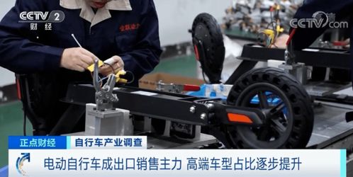 “無車教育”在阜陽悄然走紅 一種新型理念引領育兒新風尚